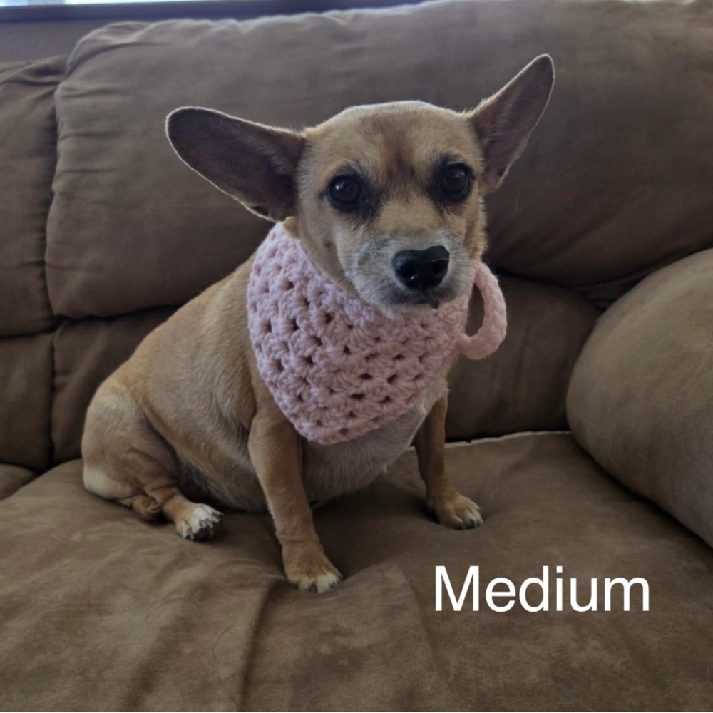 Crochet Pet Bandana Custom Order Listing - Picture 5 of 10